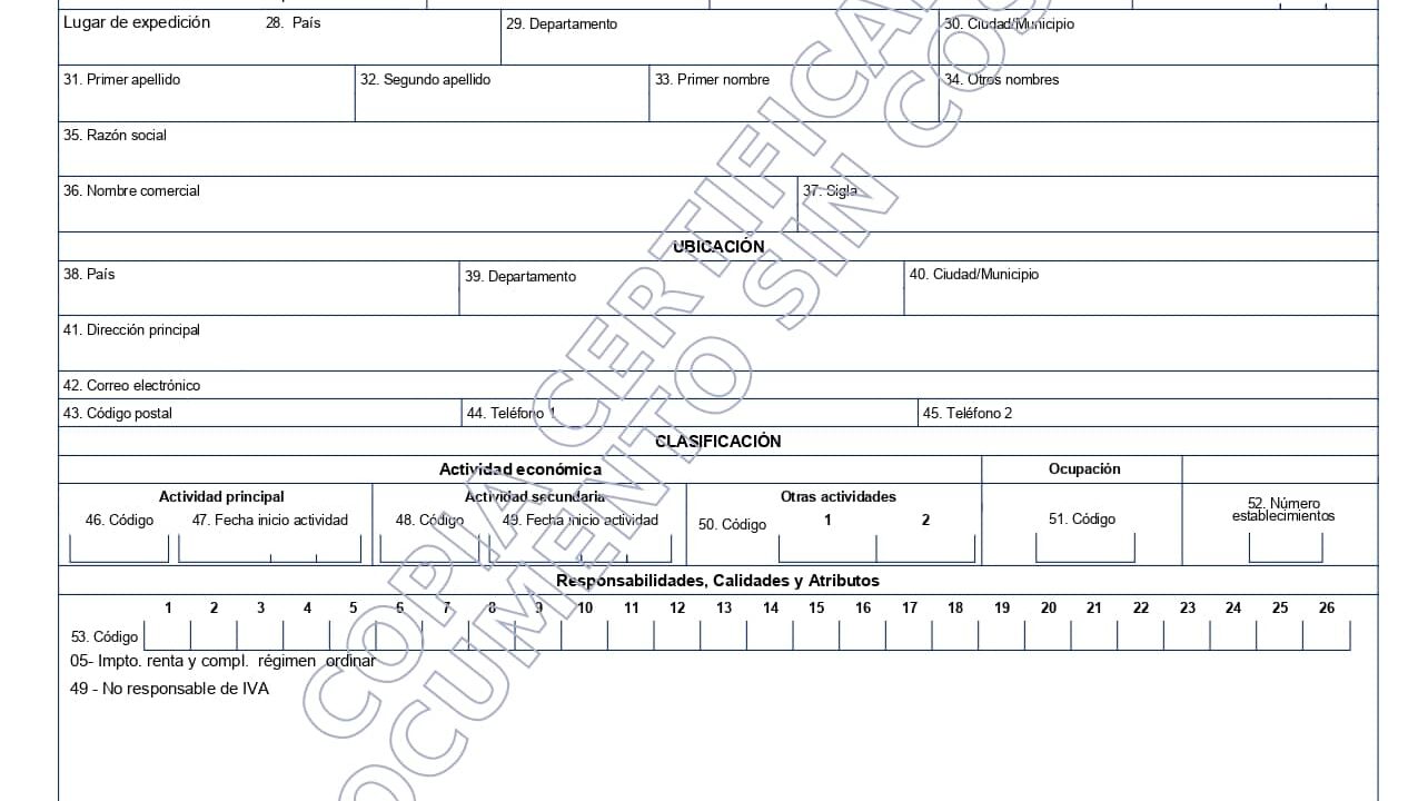 Vigencia del RUT es indefinida
