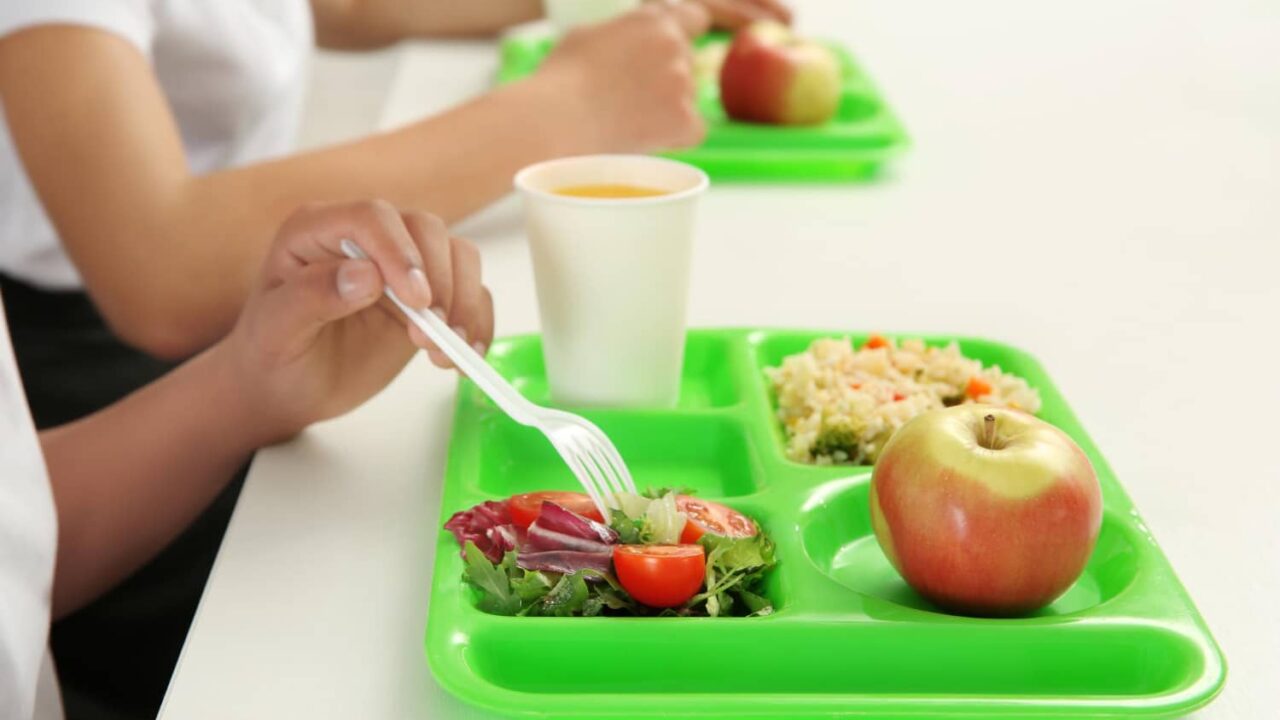 Pae Magdalena: observaciones al proyecto de pliego de condiciones