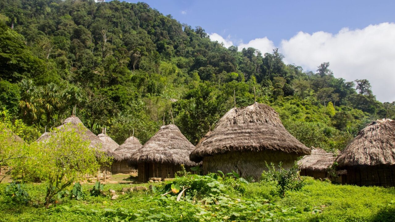 Comunidades indígenas son también autoridades ambientales.