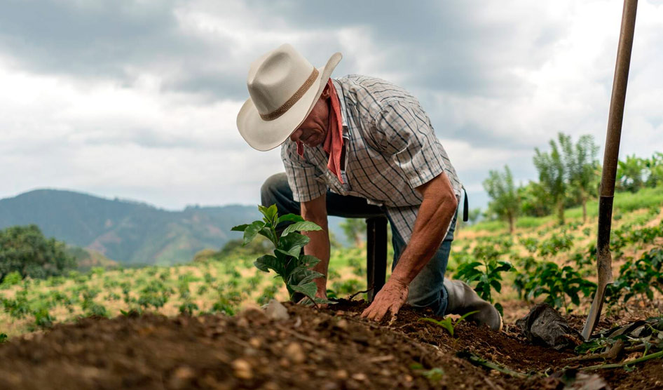 Nuevo paso para la jurisdicción Agraria y Rural: esto dijo la Corte