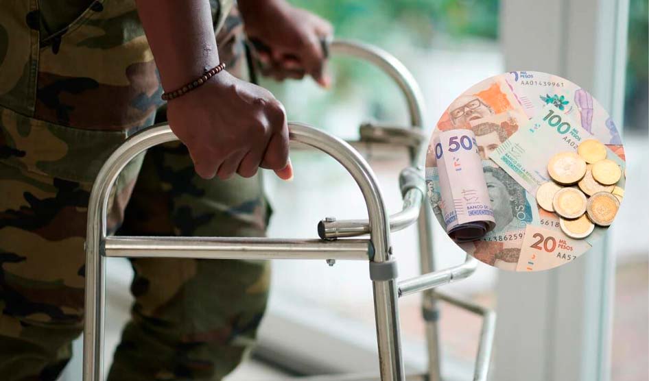 El Consejo de Estado Unifica jurisprudencia respecto a miembros voluntarios y profesionales de la Fuerza Pública.